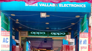 Shree Vallab Electronics (1)