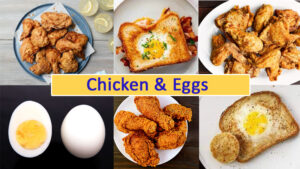 Eggs & Chicken Directory